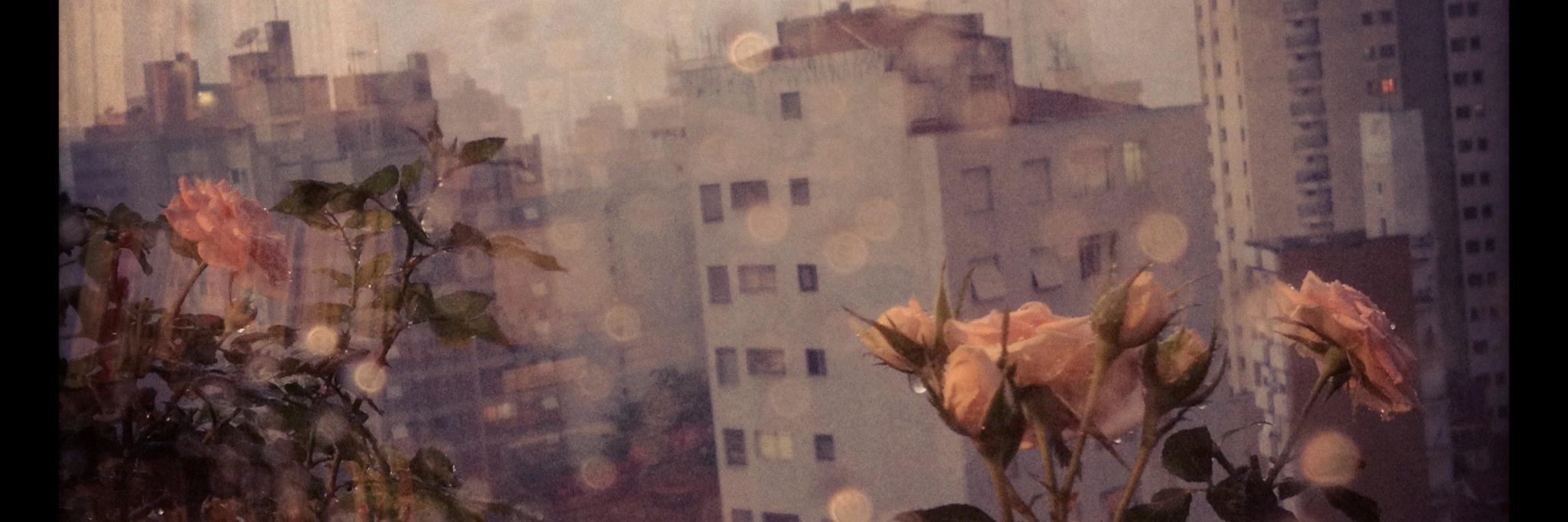 anaclaufefe's profile banner image