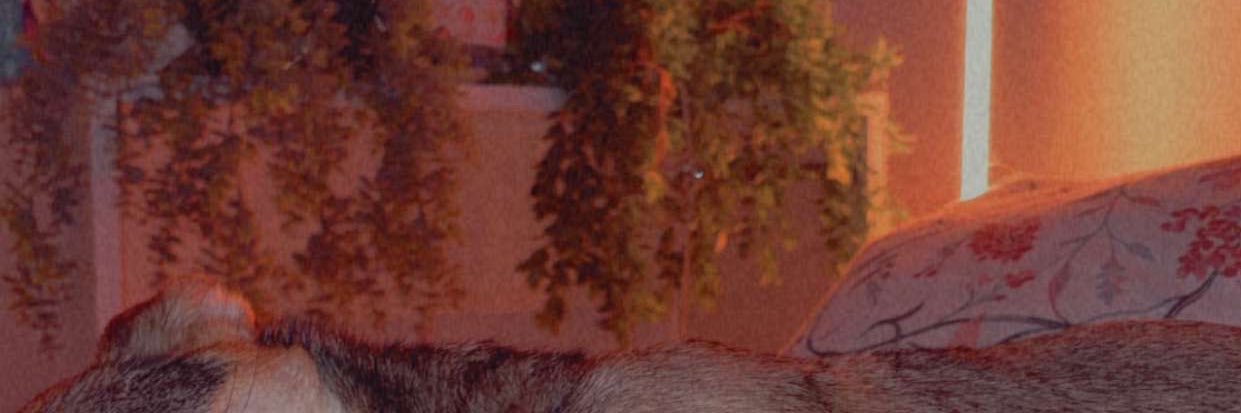 esmahxt's profile banner image