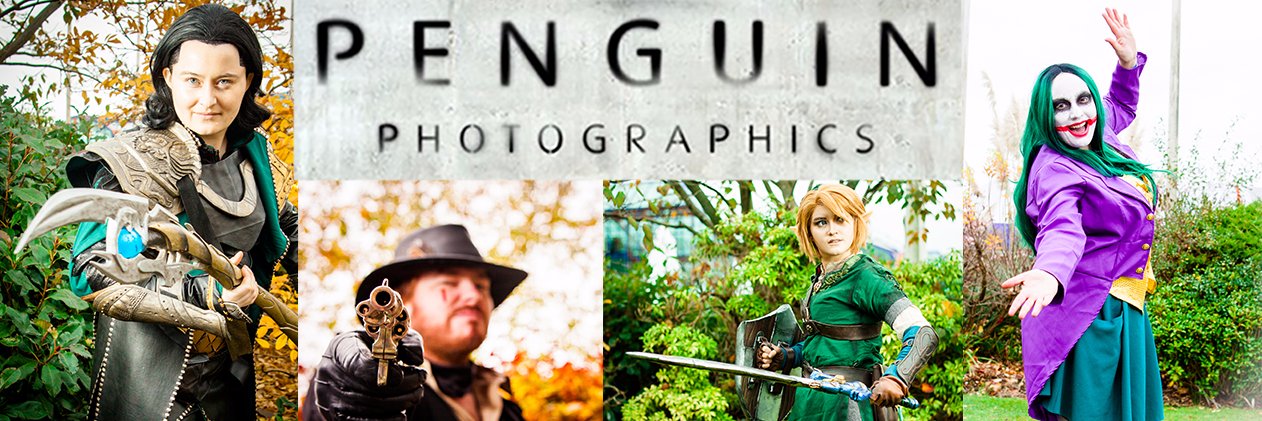 PenguinPhotos's profile banner image