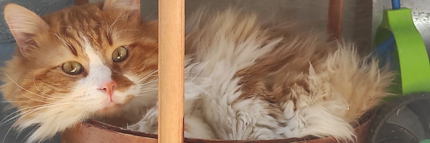 tnsgrrg's profile banner image