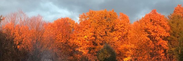 dennisgameplay Profile Banner