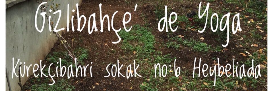 DolunayV's profile banner image