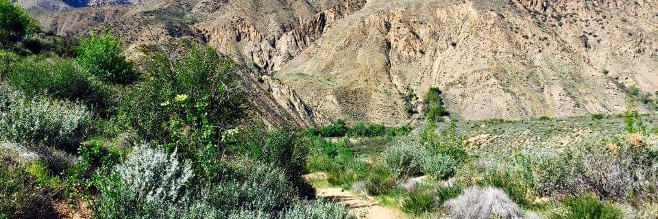 Hiking banner