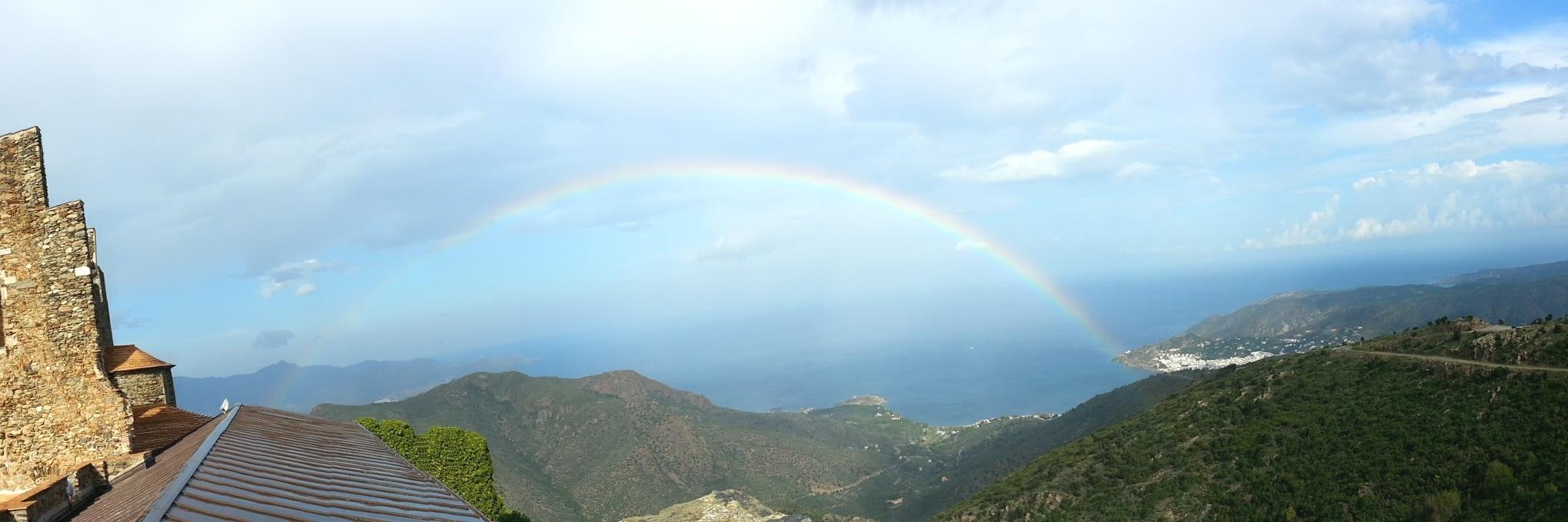 soniamasmarti's profile banner image