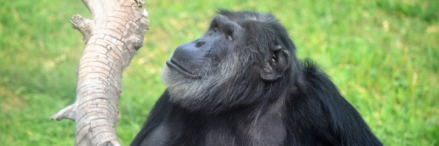New Mexico BioPark Society banner