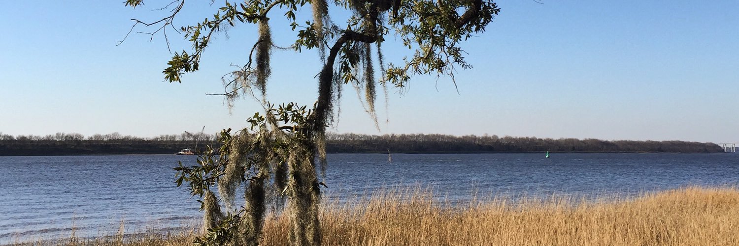 windyschneider's profile banner image