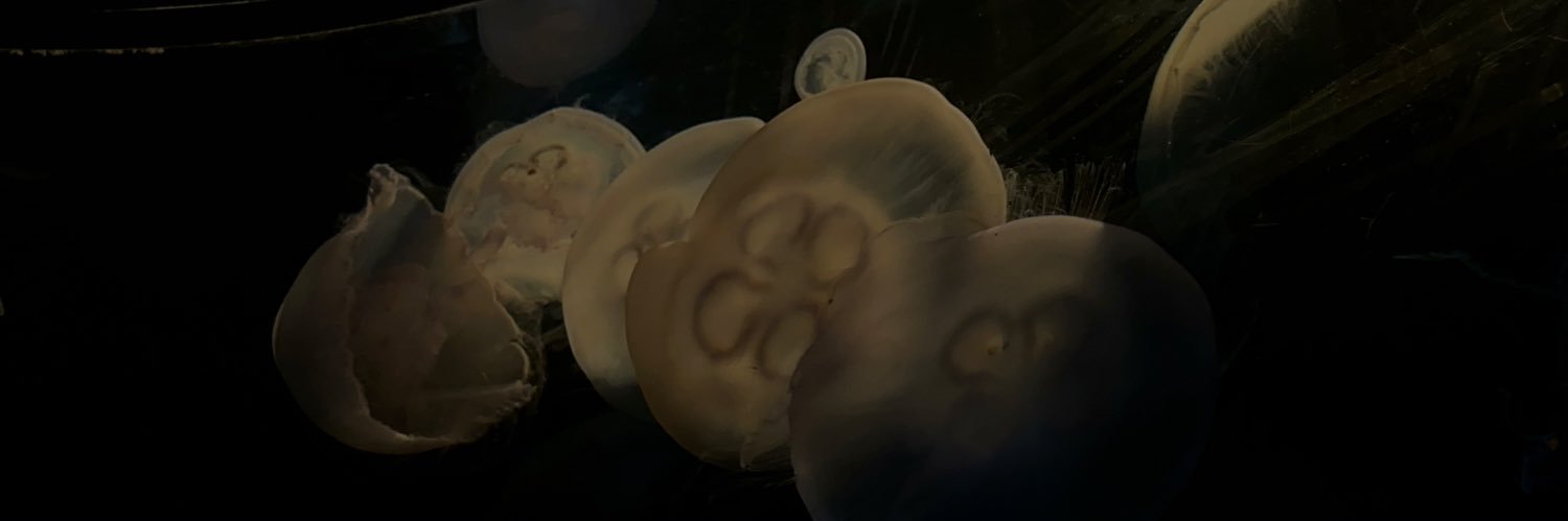 aediize's profile banner image