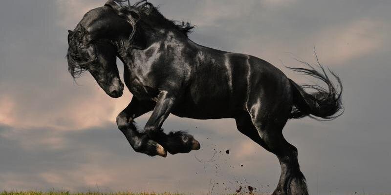 mericbutunn's profile banner image