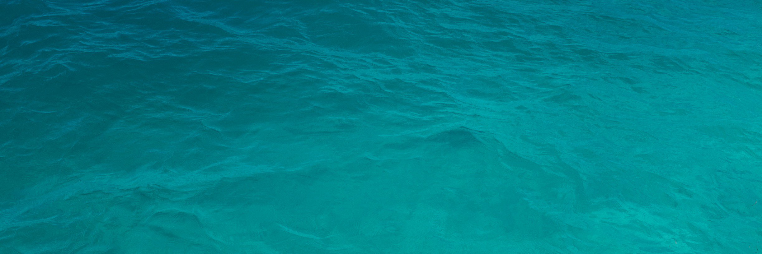 UNICO 20°87° banner