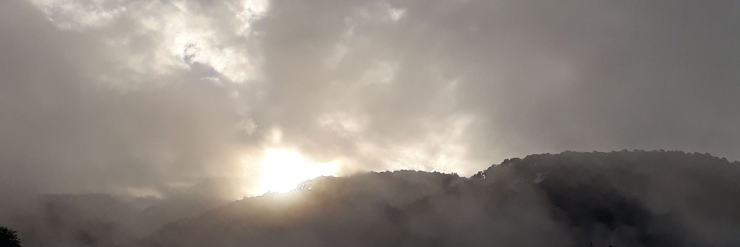 nikimaqv's profile banner image