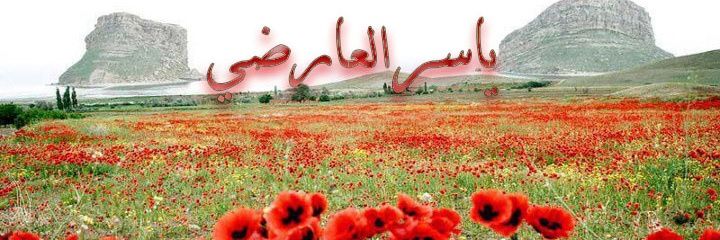 yasralardy's profile banner image