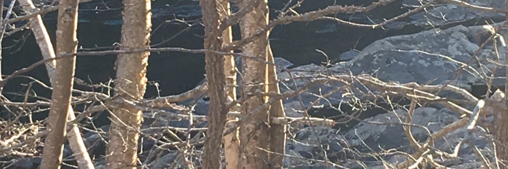 corbin_pat's profile banner image