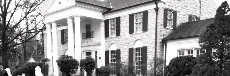 Stephen Kinkead banner