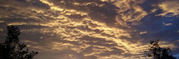 nabiiWaUkweli Profile Banner