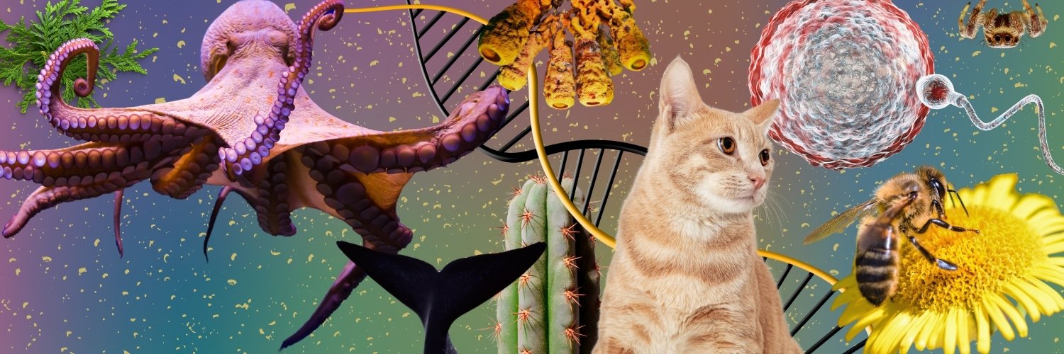 jesperboni's profile banner image