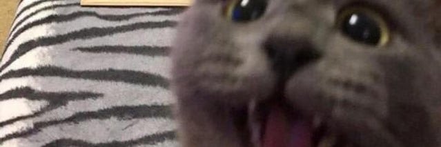 greegr_'s profile banner image
