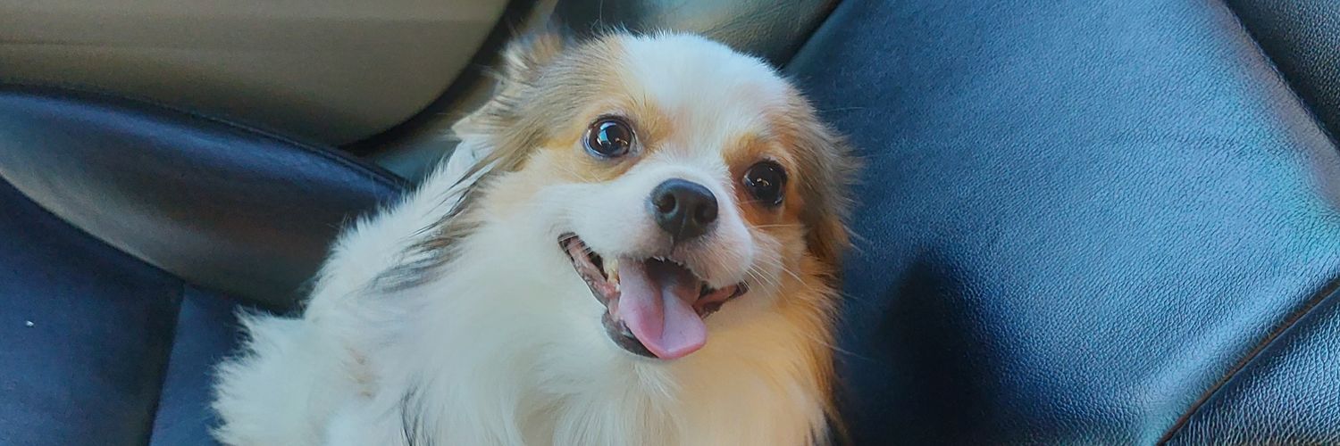 bryanox_'s profile banner image