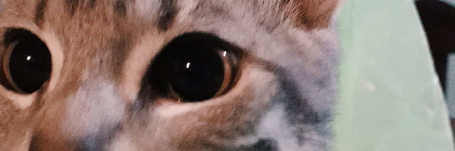 PeteryLushi's profile banner image