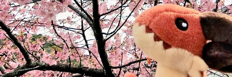 mamencya's profile banner image