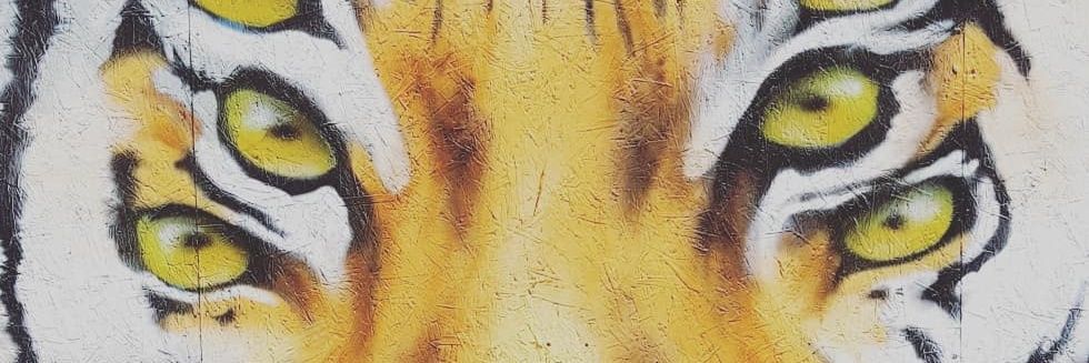 ChiLuong's profile banner image