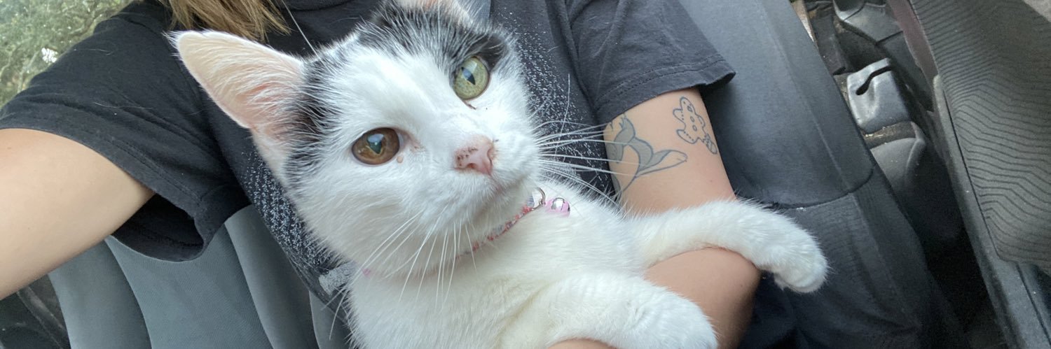 MeowAyla's profile banner image