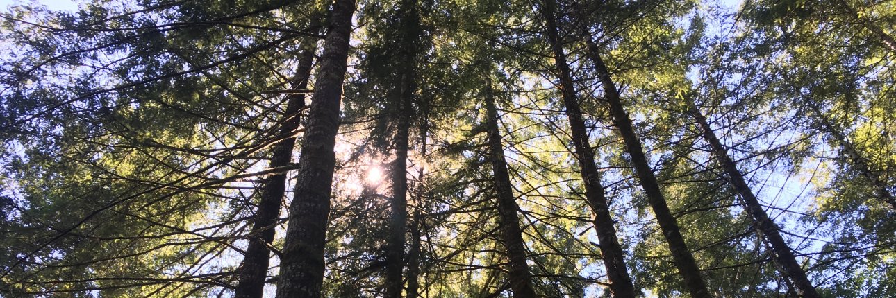 drewsofresh93's profile banner image