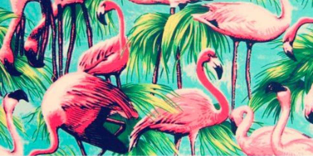 Marta_cv's profile banner image