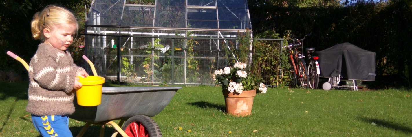 Rasmus Vedel 𝕏 banner