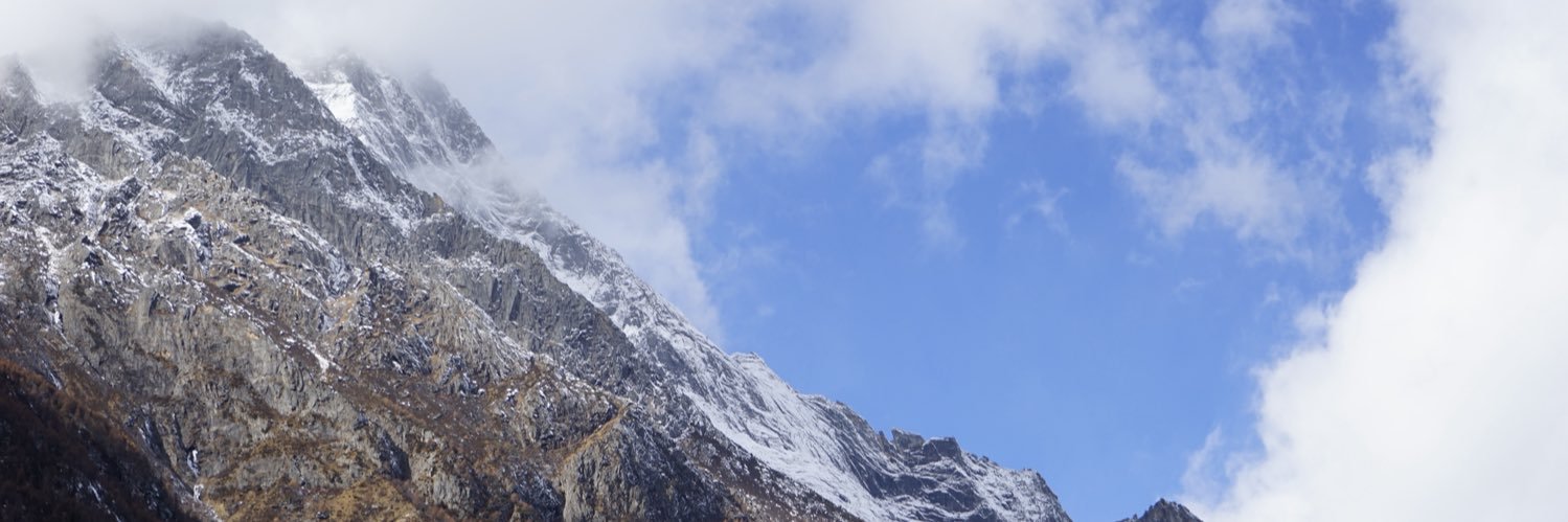 Harrison Xu banner