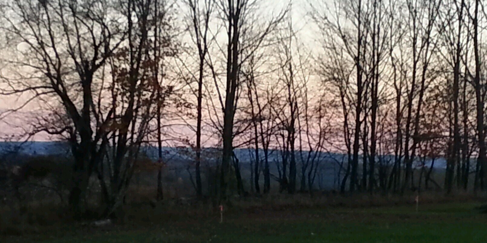 sharon pfluke banner