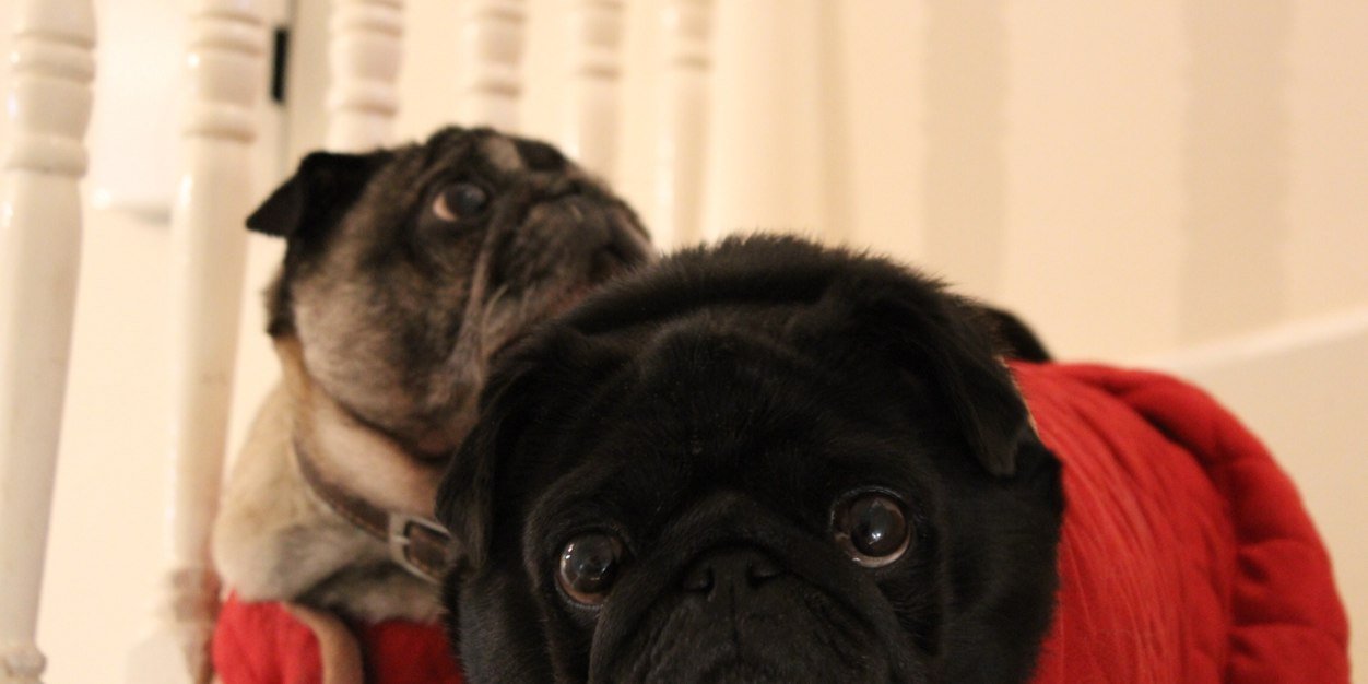 MrMagooings's profile banner image