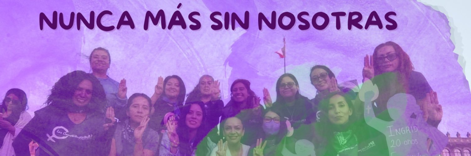 Las Constituyentes Feministas banner