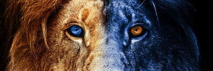 melchi2093's profile banner image