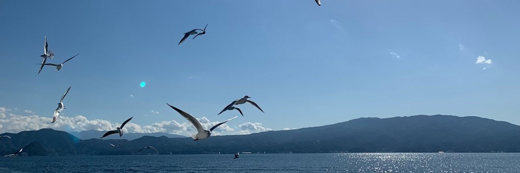 拝屋松五郎®︎ banner