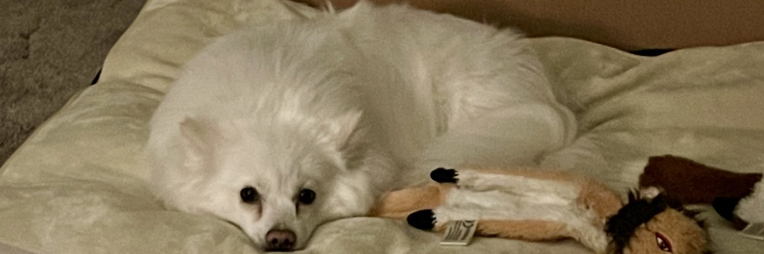 LodyKari's profile banner image