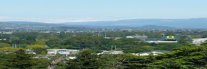 Michael O'Connell,Jr banner