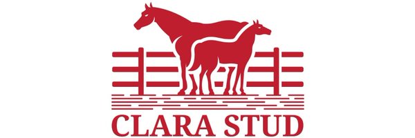 ClaraStud Profile Banner