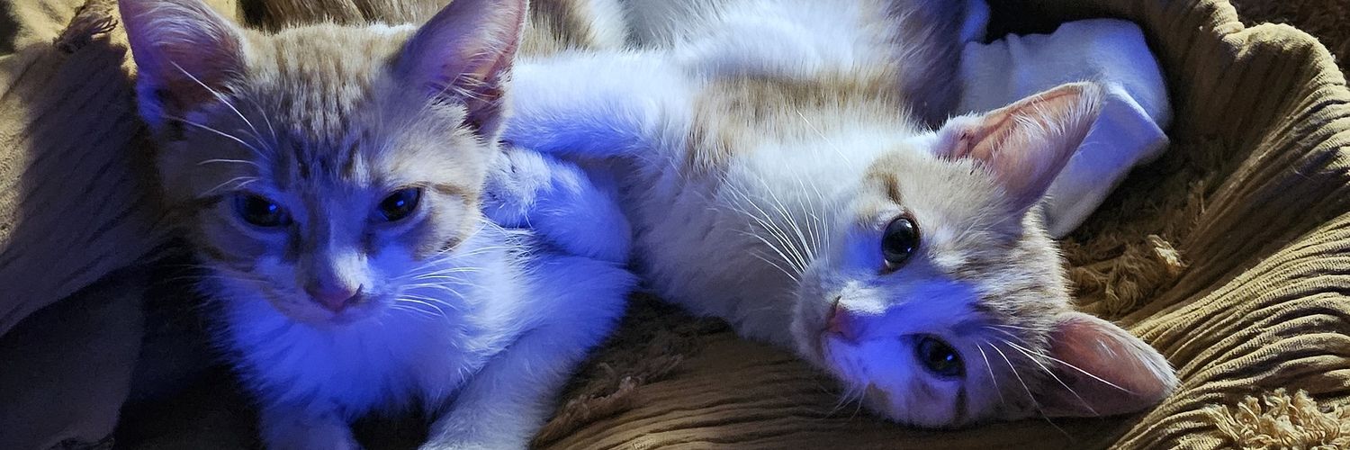 KingBreos's profile banner image