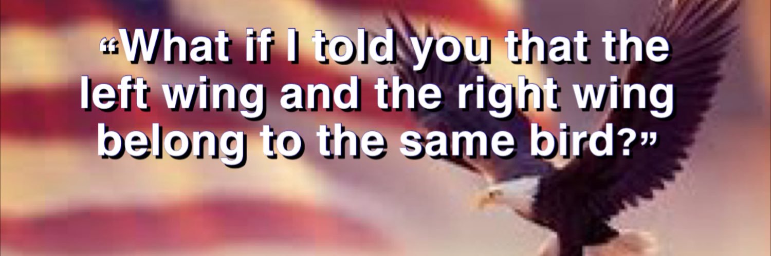 politically purple banner