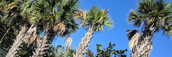 Jenbear92 Profile Banner