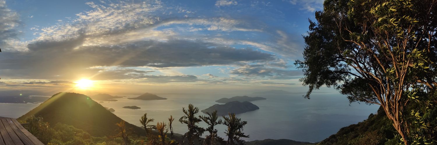 César Mejía 🌐 banner