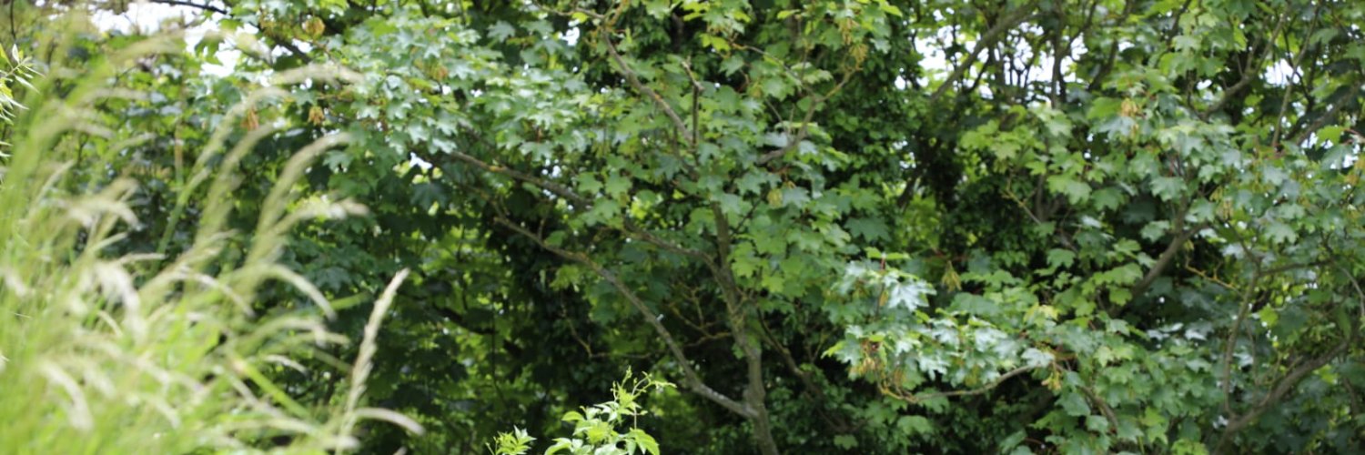 SatishParmar's profile banner image