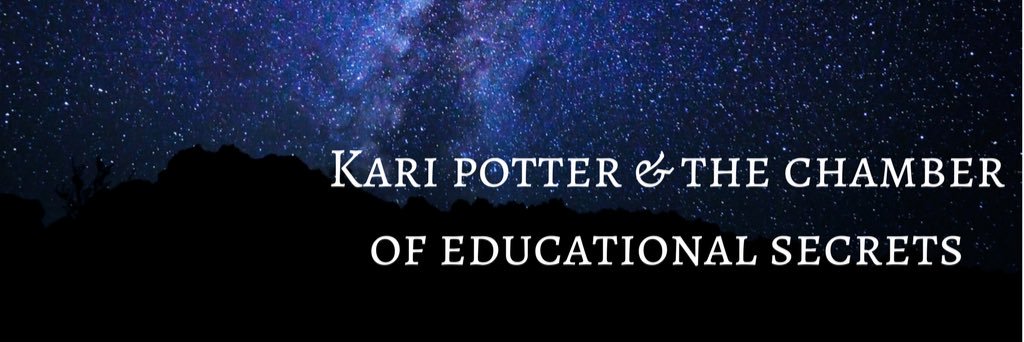 Kari Potter banner