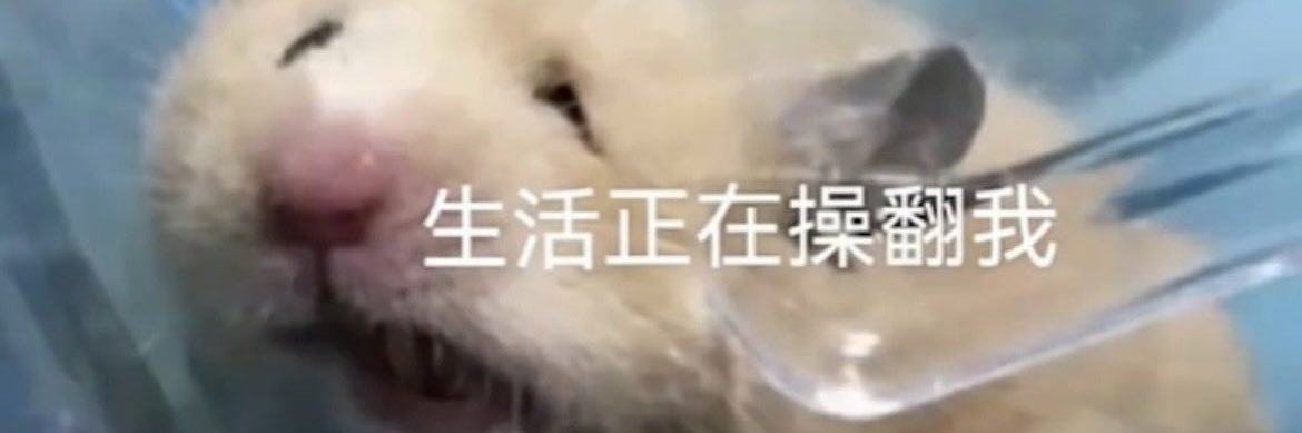 次世代凶兆 banner