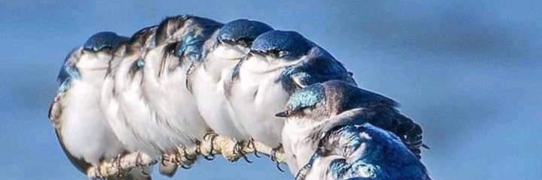 MonaMagdy's profile banner image