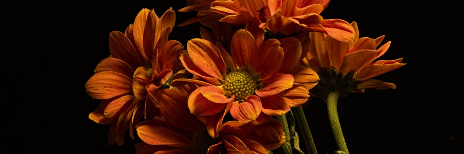 A_Beryuk's profile banner image