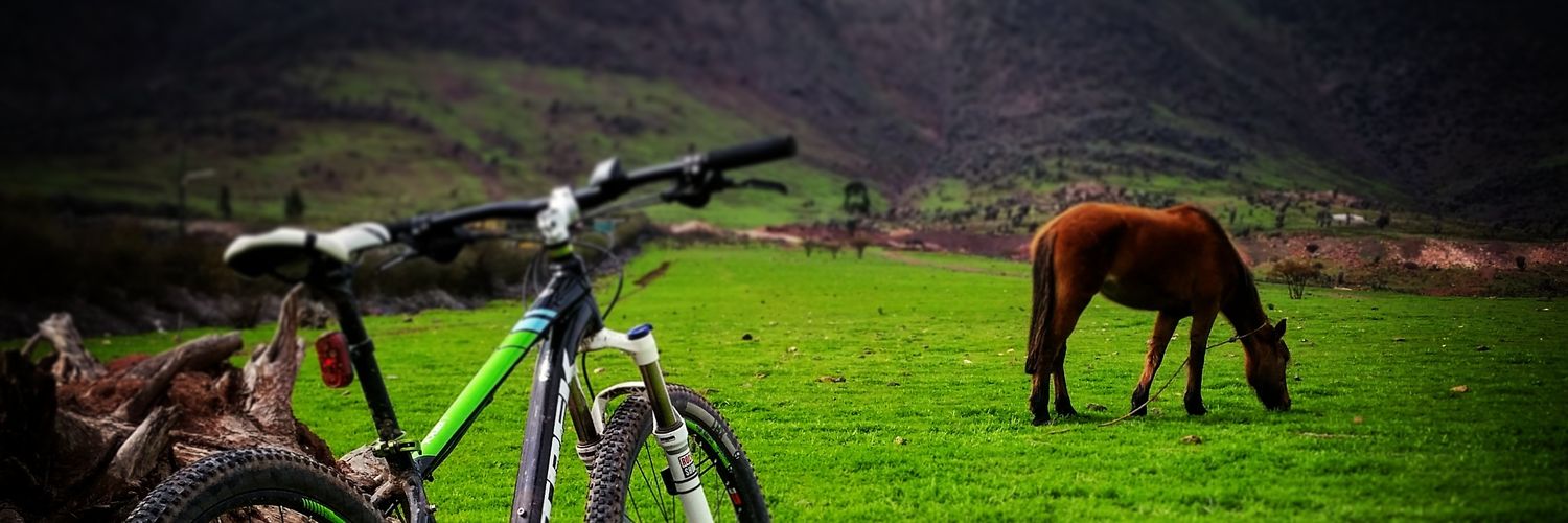 omarcampusano's profile banner image