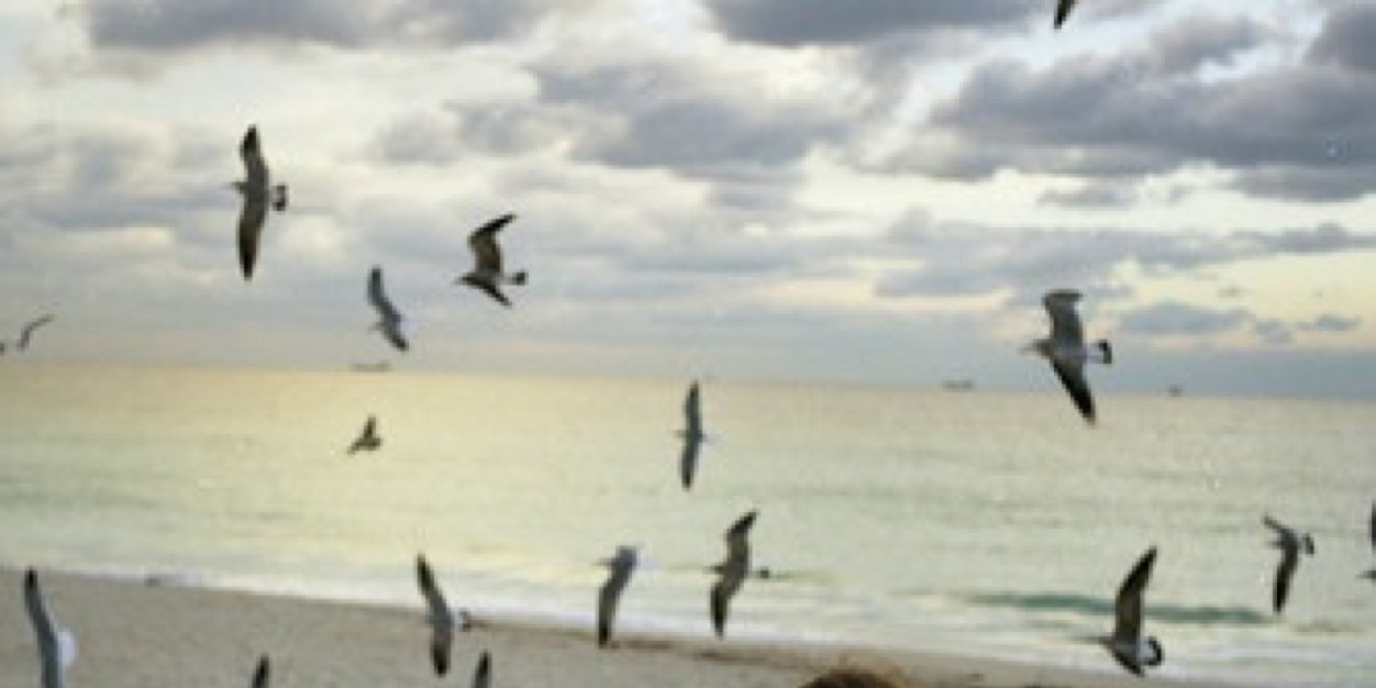 am00na3's profile banner image