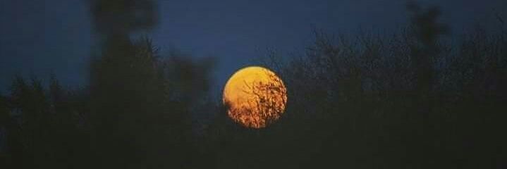 Miichtt_CA's profile banner image