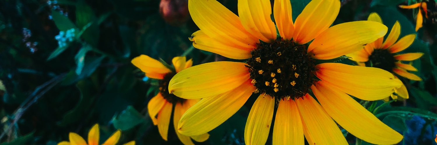 mckennascott97's profile banner image